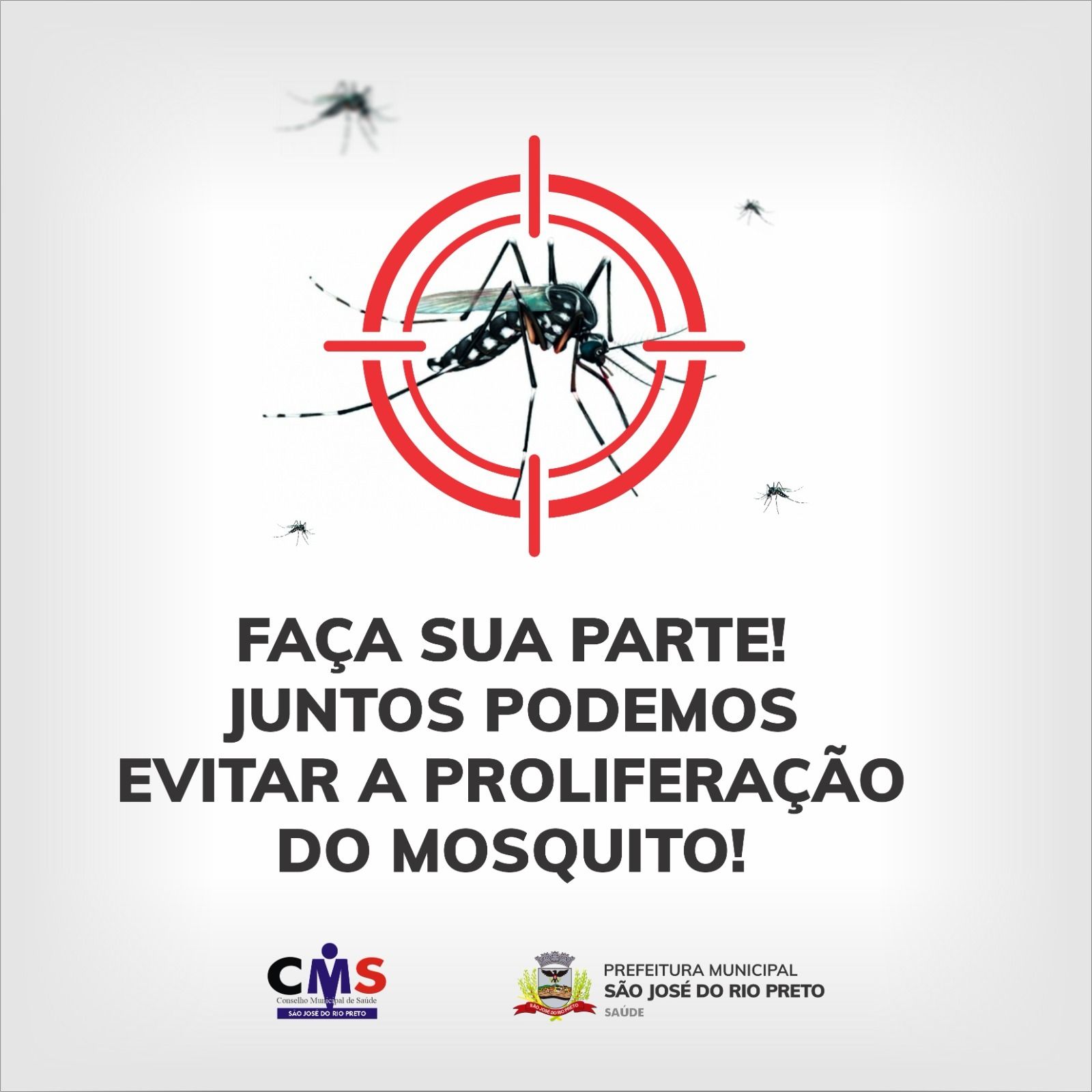 Dengue Prevention